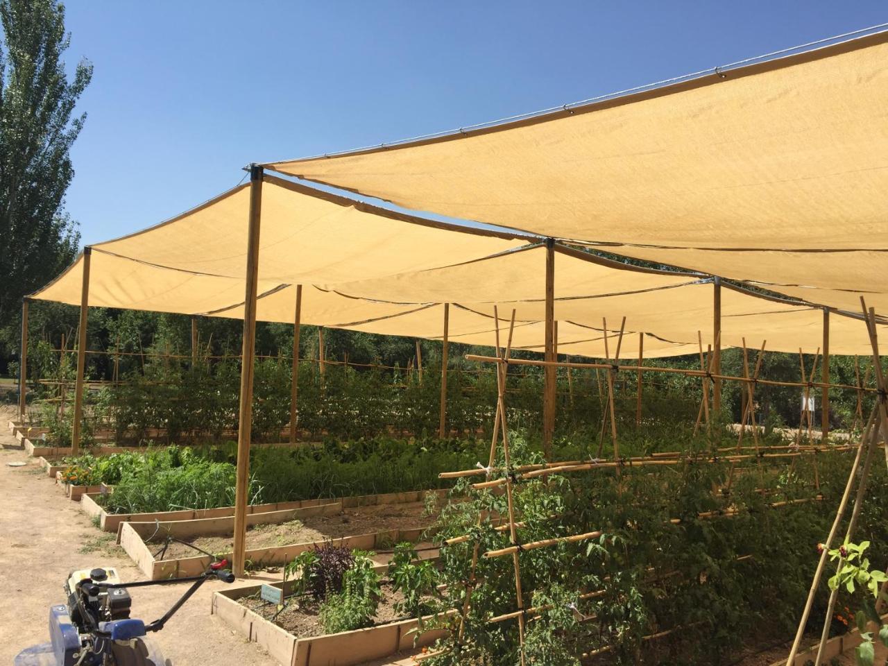 Centro De Agroecologia Y Medio Ambiente De Murcia Bullas Exterior photo